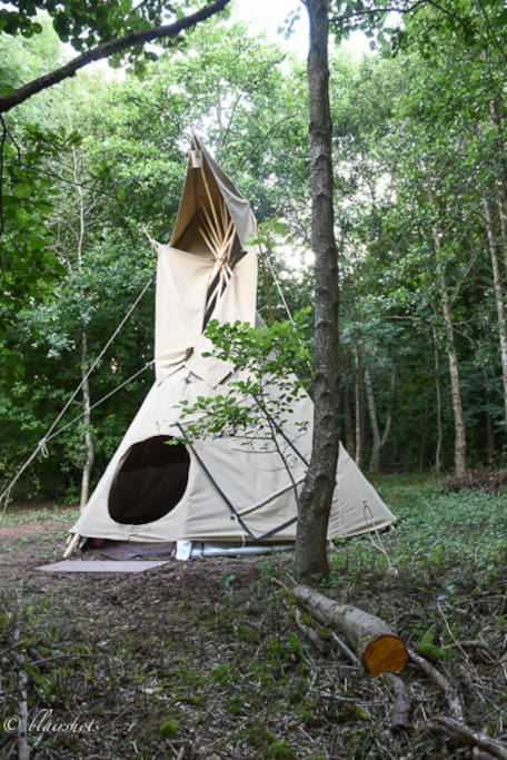 ....with a hand-crafted tipi to call home....