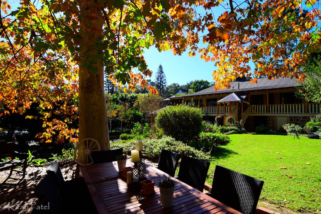 Large Garden Entertaining Area