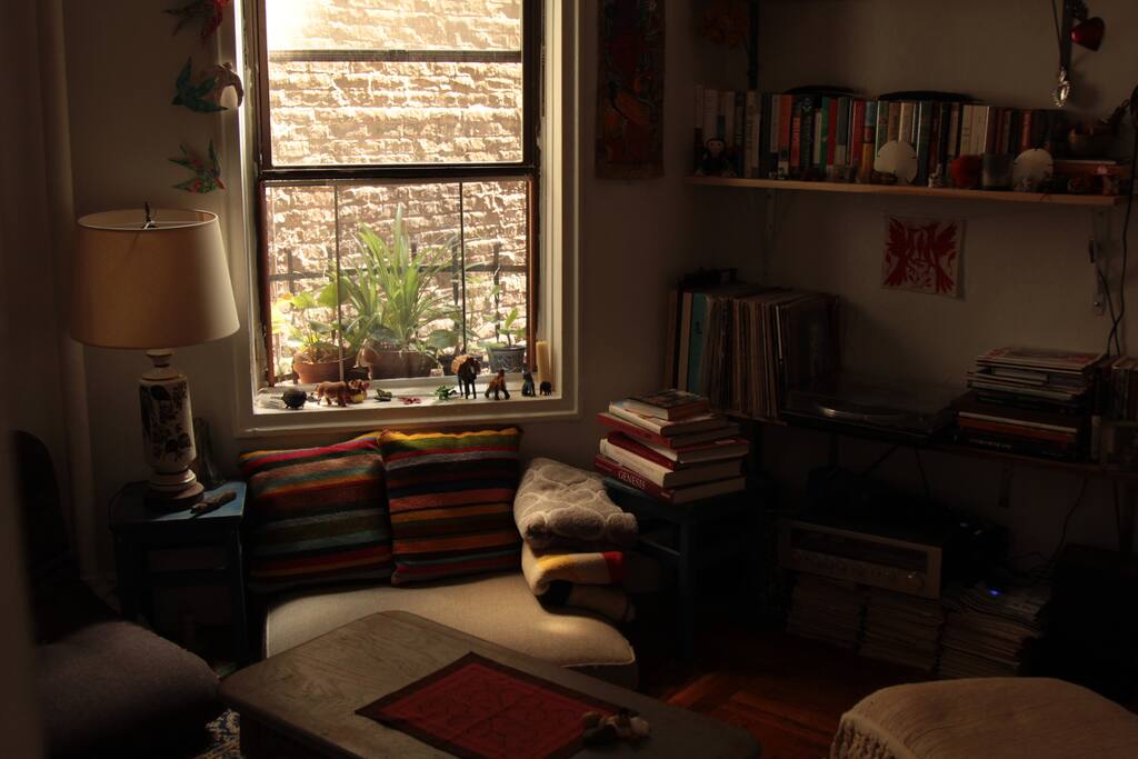 Living room window