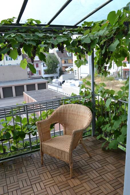 The balcony with grapes surrounding it, you can also see the glass roof.