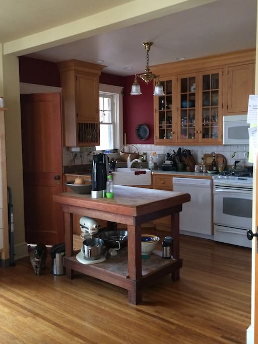 Modern kitchen