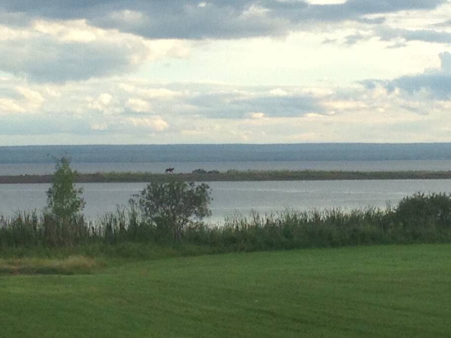 View on the Baie Des Chaleurs