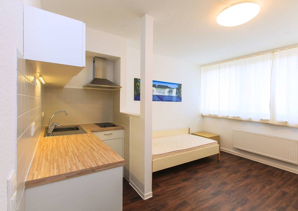 Zimmer1