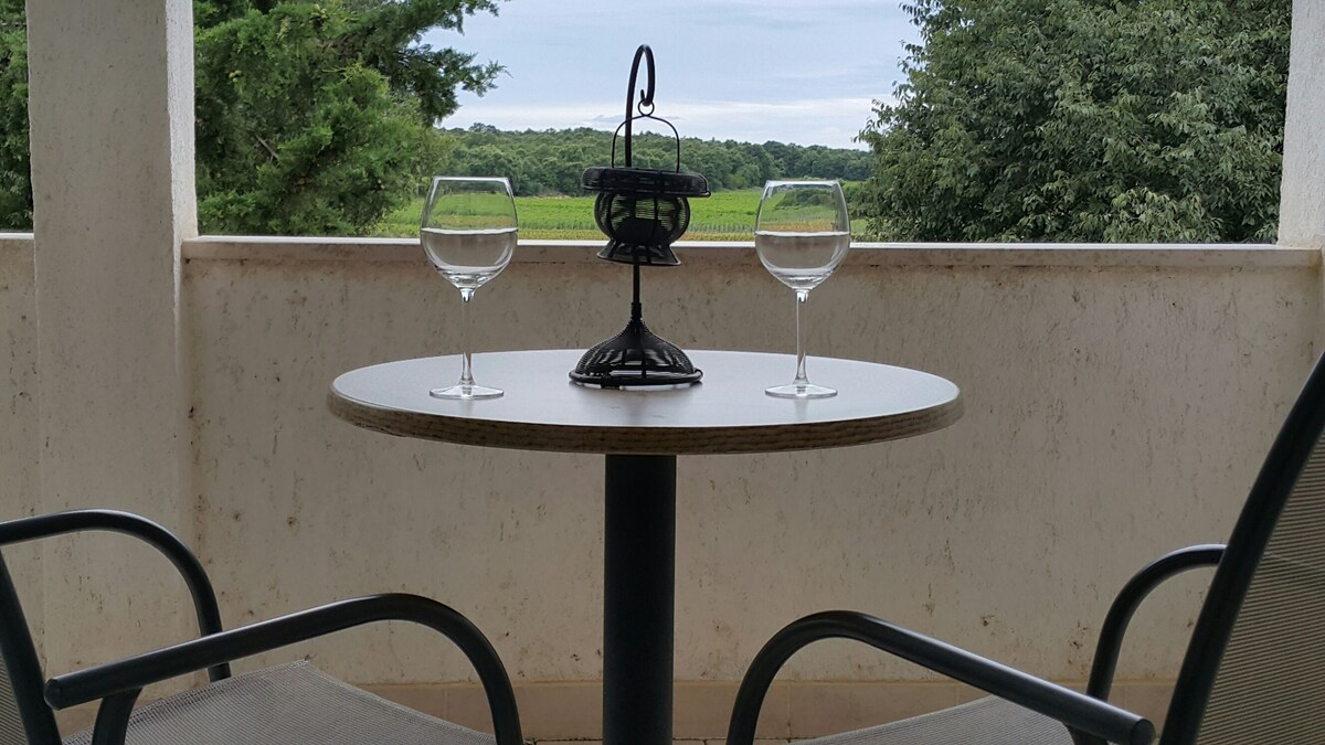 1B · Apartment Porec T&T