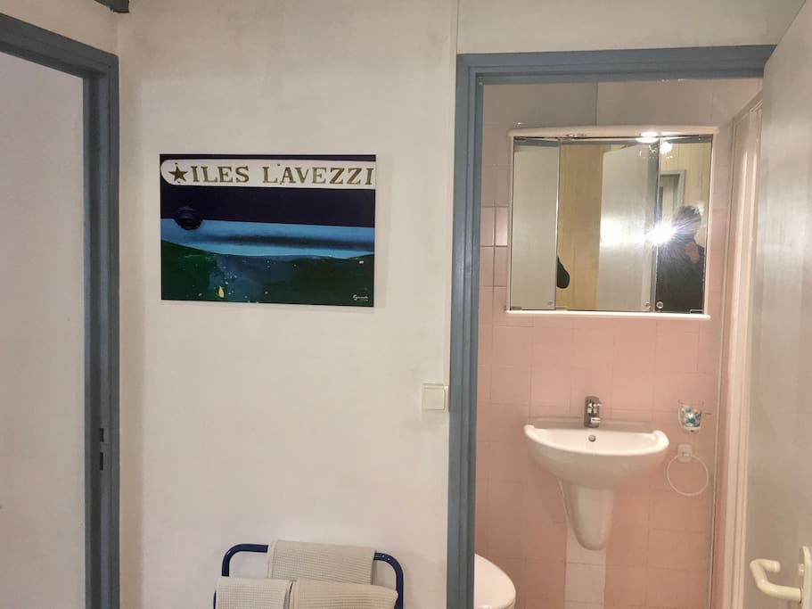 Salle de bain avec WC lavabo douche