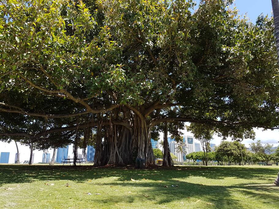 Ala Moana Beach Park