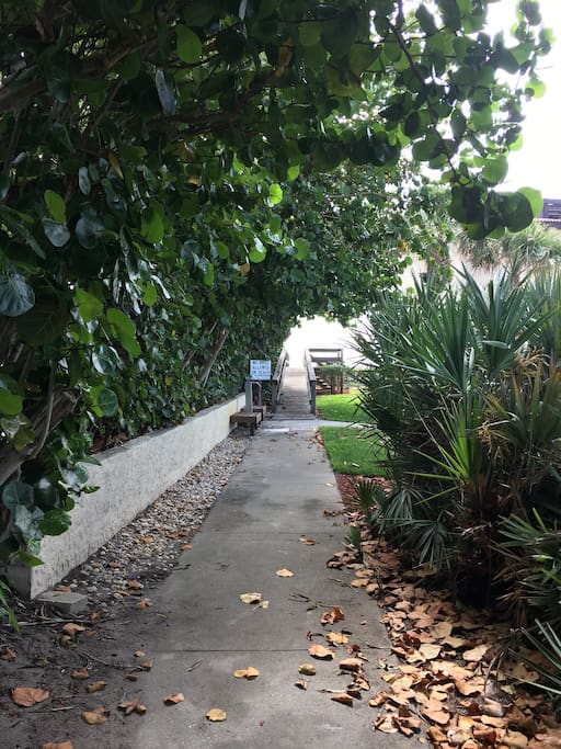 Pathway to beach