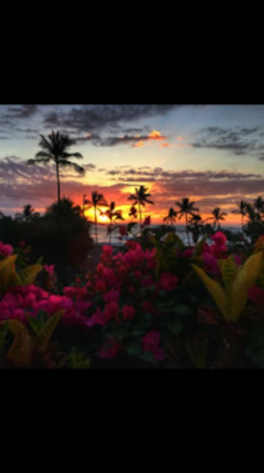 Amazing sunsets all year round!