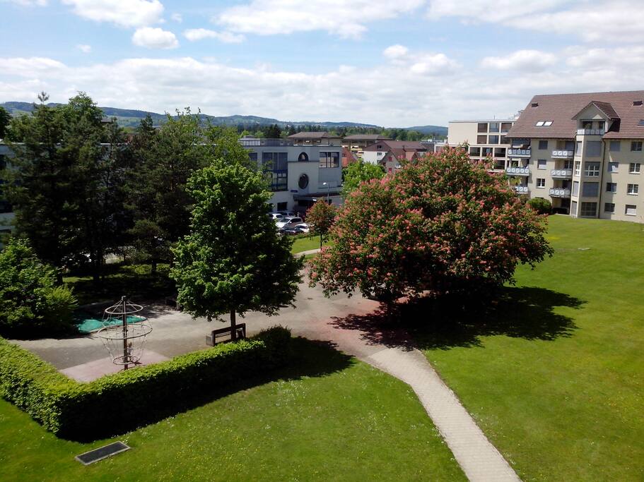 View from balcony to the left. Green field and banks for usage. Supermarkets just behind! (Migros & Coop)