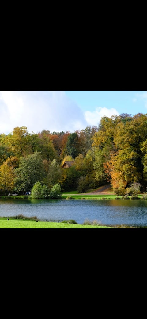 New studio at the edge of the woods and near the lake
