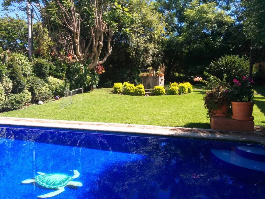 Alberca y Jardin