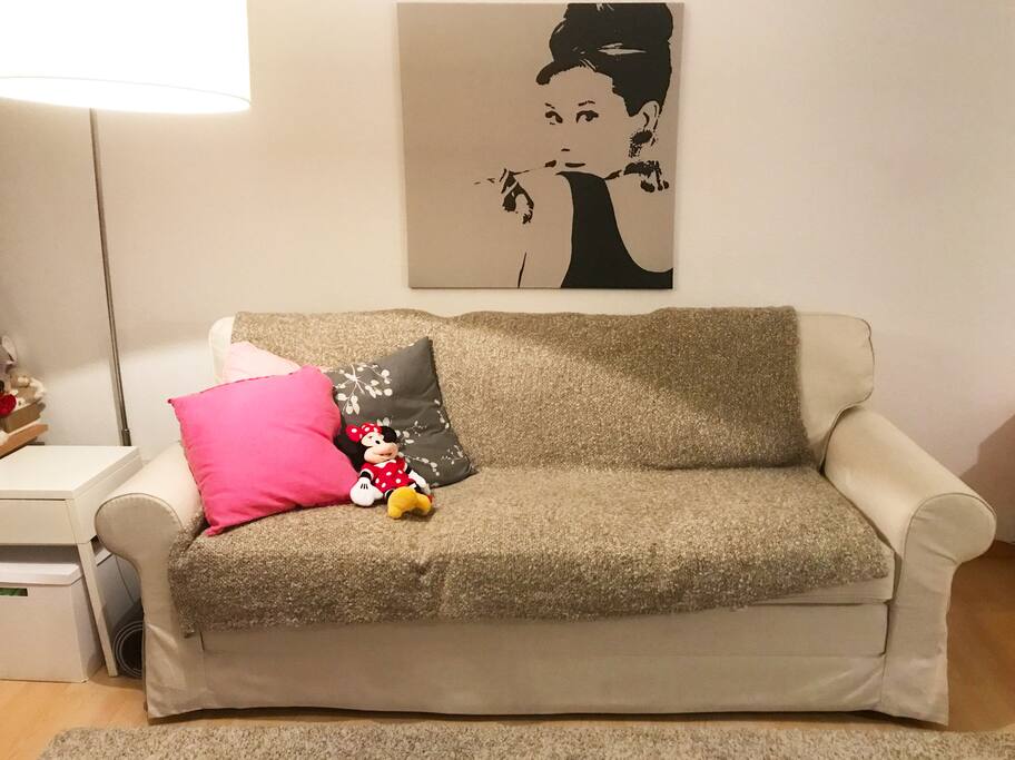 Sofa bed in the living room