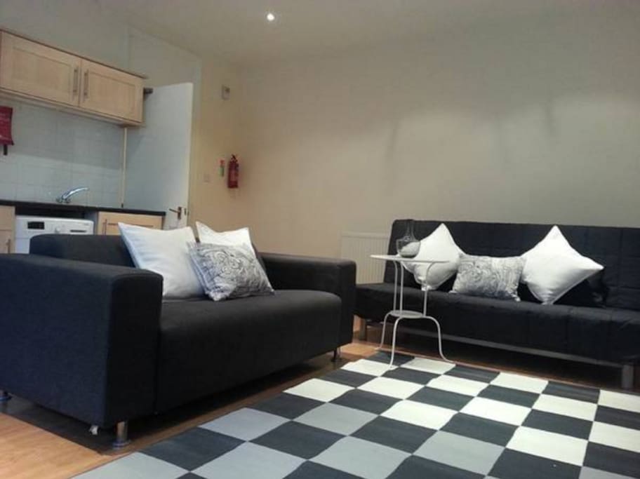 Two sofas in the living room, one is a sofabed