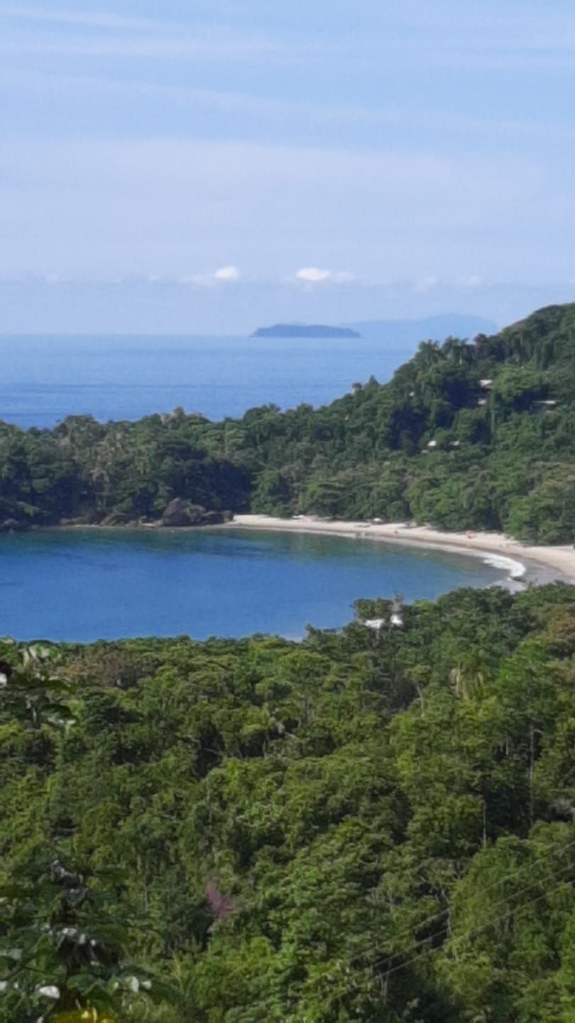 A serene coastal view is presented, showcasing a tranquil bay surrounded by lush greenery. The sandy beach curves gently along the shore, with the ocean in the distance and an island visible on the horizon under a clear blue sky.