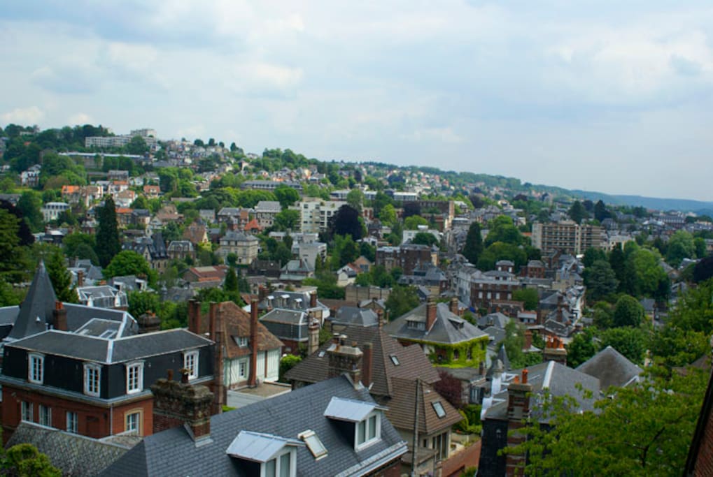magnifique vue sur Rouen