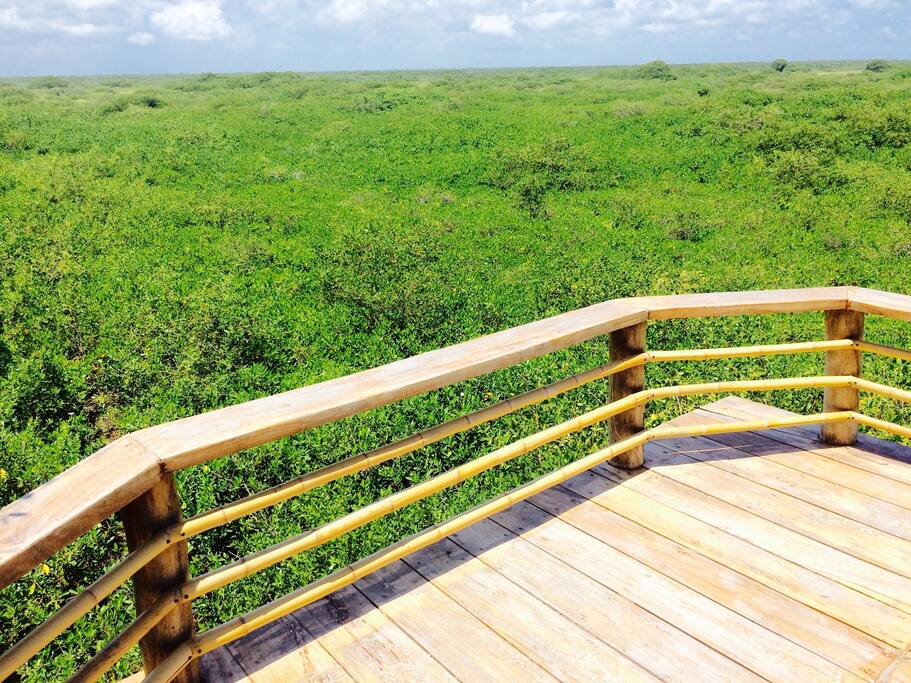 Extravagant green ocean with neverending views