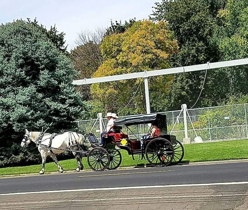 Consider a horse drawn carriage ride, normally available in down down Walla Walla.