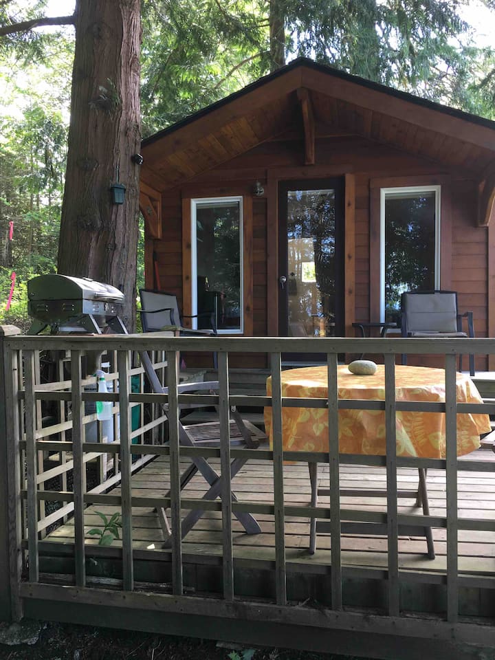 Waterfront micro cabin with stunning view Cabins for Rent in Bowser