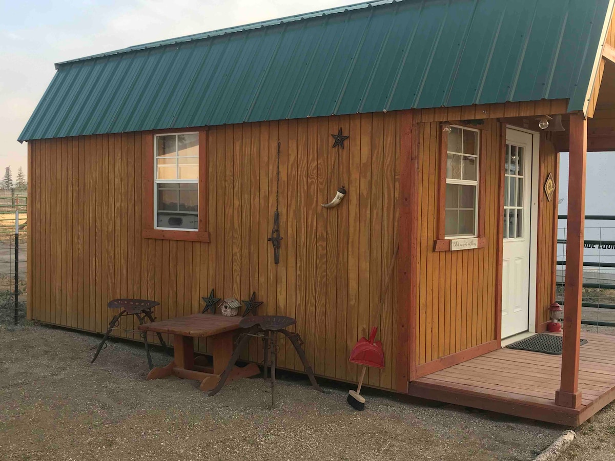 The exterior of a wooden cabin features a green metal roof and a warm wood facade. Two small windows allow natural light, and a sturdy wooden door provides entrance. A small outdoor seating area includes a table and chairs, ideal for enjoying the fresh air.