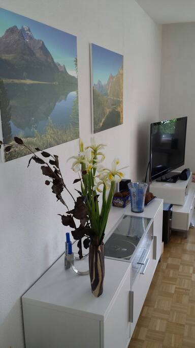 TV