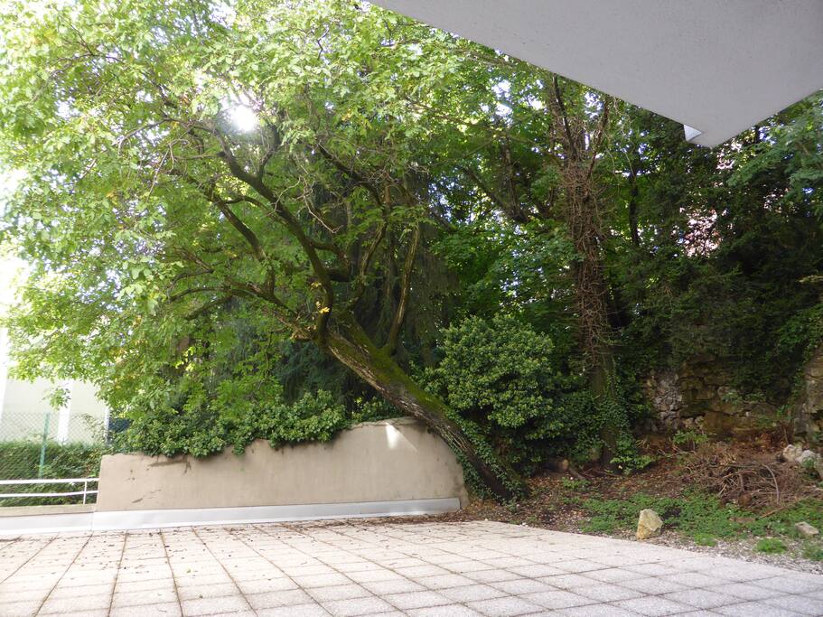 Vue depuis la fenêtre de l'appartement. cours intérieure de l'immeuble.