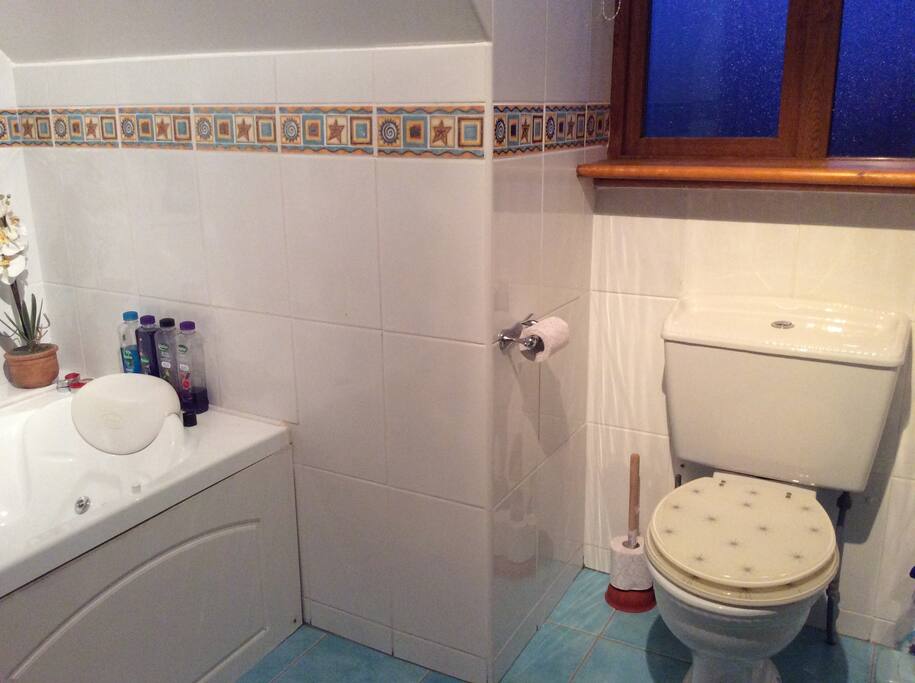 Shared bathroom upstairs.