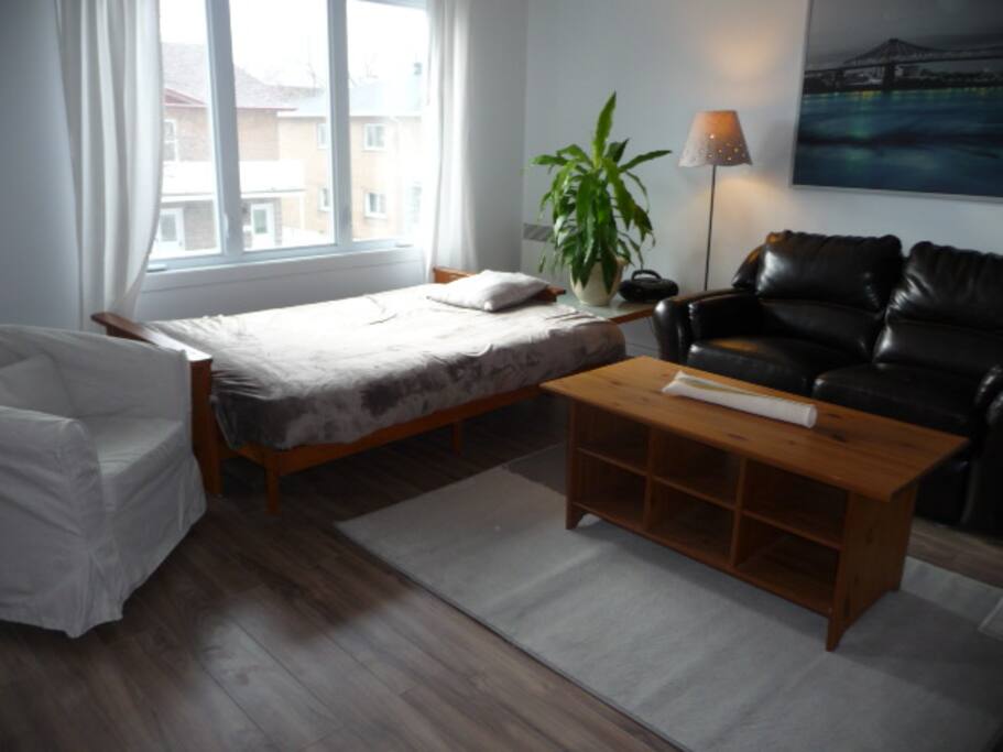 Living Room with Sofa Bed