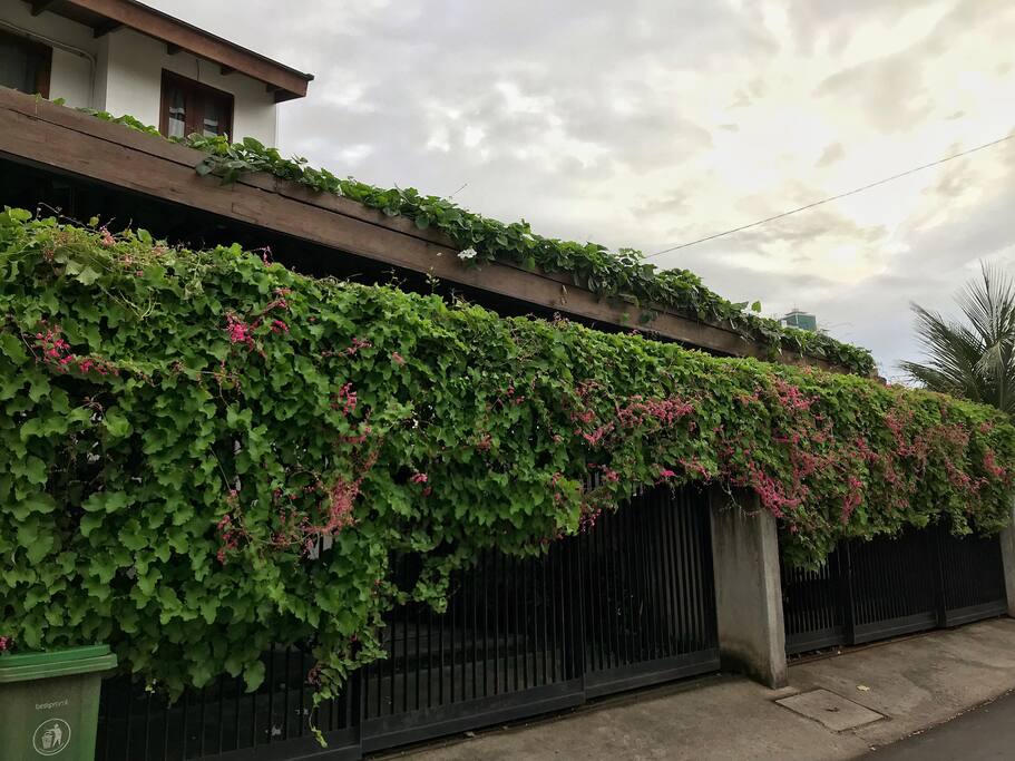 View from outside