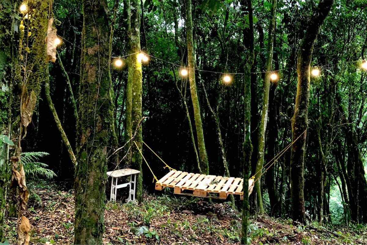 A wooden pallet swing is suspended between trees, surrounded by lush greenery. Warm lights are draped along the branches, creating a gentle illumination in the wooded area. A small, white table is positioned nearby on the forest floor, blending harmoniously with the natural setting.