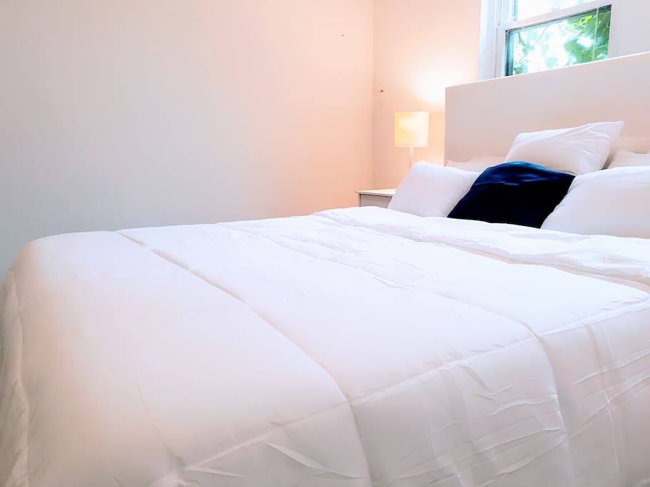 Room With Private Bathroom For Rent Philadelphia Room With Private Bathroom For Rent Philadelphia