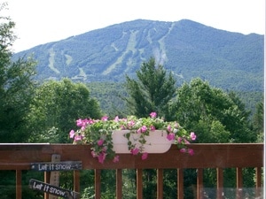 A view from the deck captures a scenic mountain landscape, showcasing ski trails on the slopes of Burke Mountain. A planter filled with blooming pink flowers enhances the balcony railing, while lush green trees frame the surroundings.