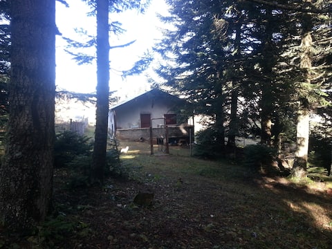 kizilcahamam holiday rentals homes ankara turkey airbnb