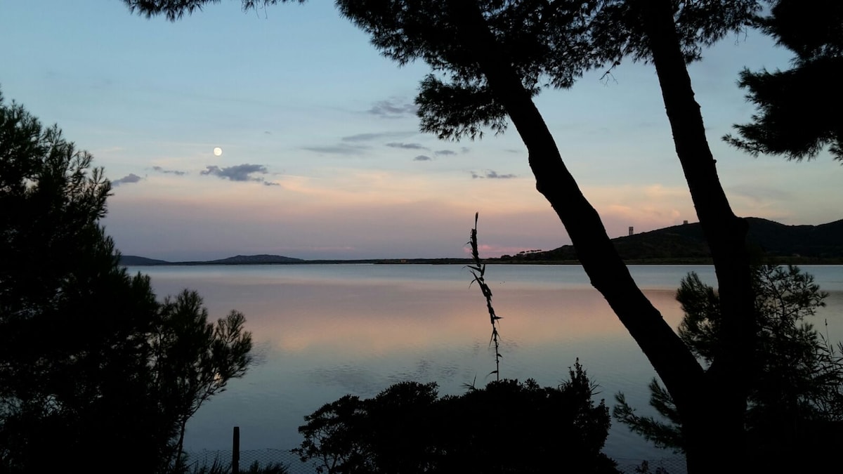 The serene view of the lagoon is captured at twilight, with soft pastel colors reflecting on the water’s surface. Silhouettes of trees frame the scene, while a gentle glow from the rising moon adds to the tranquil ambiance.