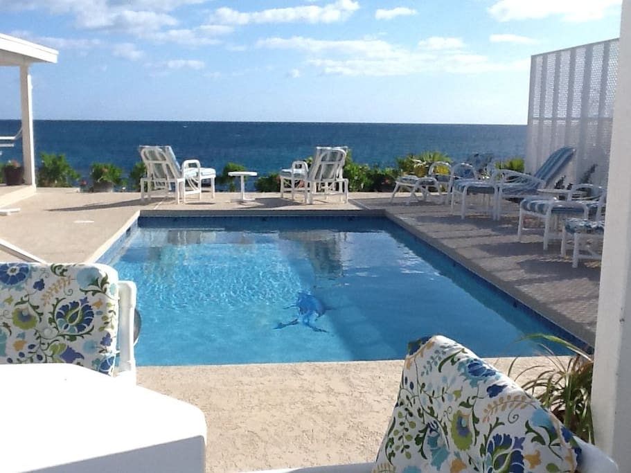 Our salt-water pool and terrace with 50-mile ocean view. Facing east.