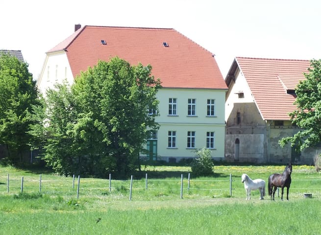 Horse-drawn carriage on the estate!