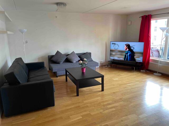 Oslo city/Color Apt/3Bedrms/2WC/750mt from Oslo S