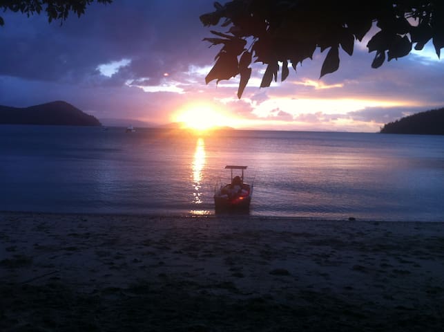 Mackay Mystique