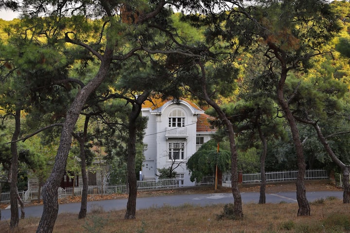 Lale Köşk 2 apartment with sea and forrest view