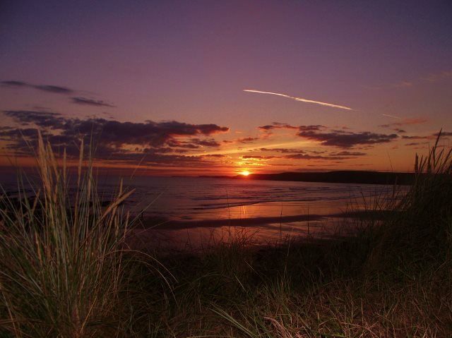 A tranquil beach scene is depicted at sunset, where soft waves gently lap at the shore. The horizon showcases a gradient of warm colors, including oranges and purples, while silhouettes of grass sway in the foreground against the dusk sky.