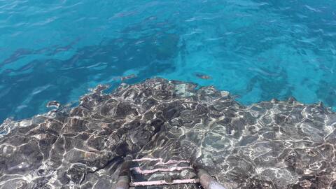 Vía caleta hab2, céntrico y tranquilo.
