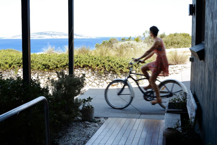 Stowaway beside the beach