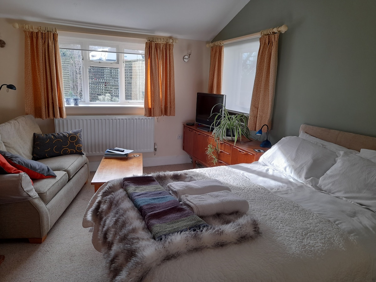 A studio bedroom features a spacious bed with soft linens and a cozy throw. A comfortable sofa and a wooden table are visible, along with a television and a small plant. Natural light filters through large windows, complemented by warm curtains.