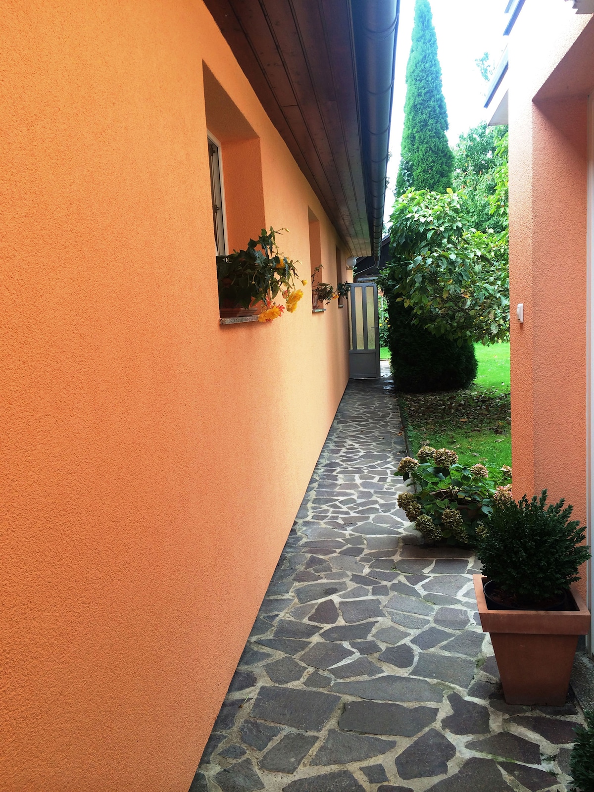 A narrow walkway is bordered by an orange wall, leading to a door. The path is paved with stone and flanked by greenery, including a potted plant near the entrance and a larger bush in the background. Window boxes with flowers are visible along the facade.