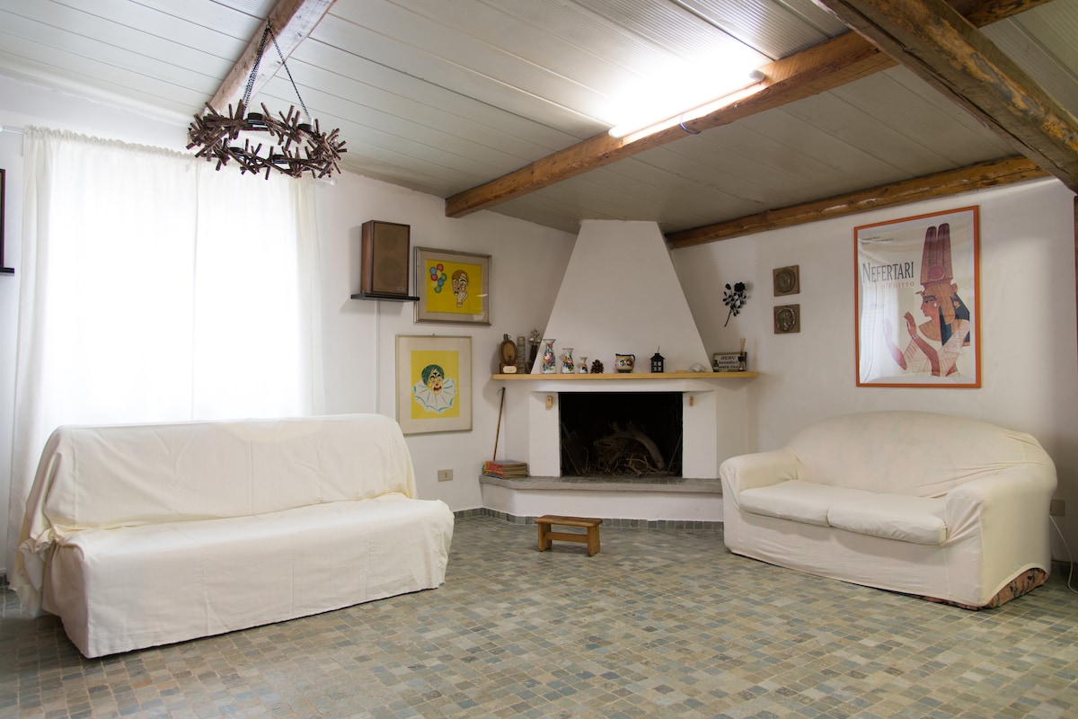 Annuncio Airbnb popolare: Among the olive trees see the sea! a Silvi