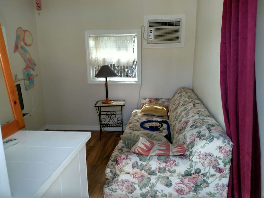 Back room with sleeper sofa