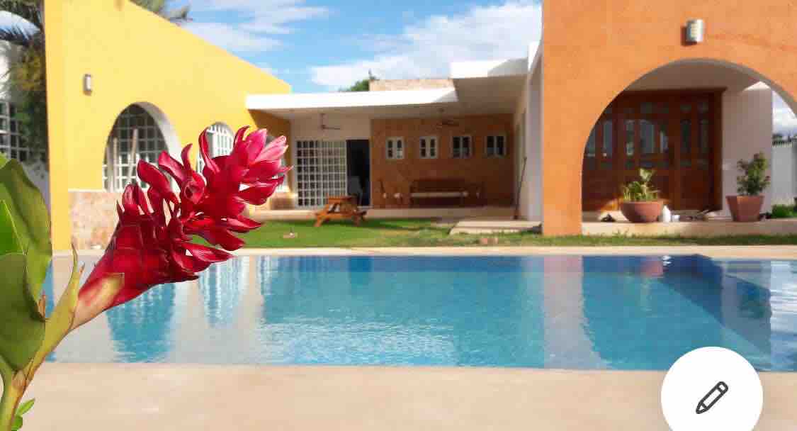 A vibrant flower in the foreground frames the spacious pool area, which reflects the warm colors of the adjacent contemporary house. Expansive glass doors and a green lawn can be seen in the background, contributing to the serene outdoor environment.