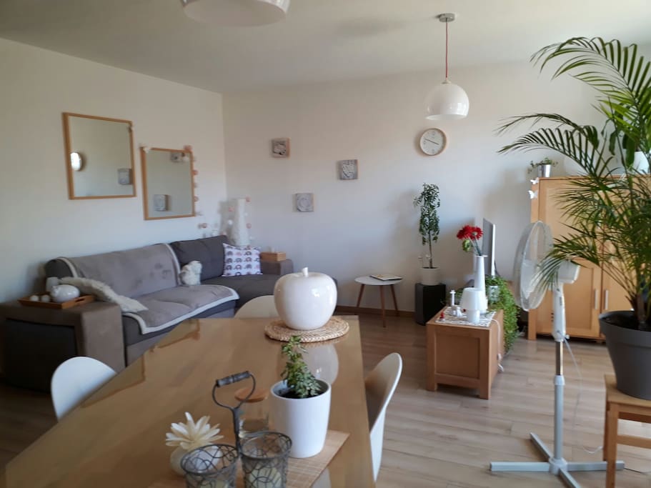 le salon
