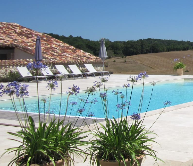 The salt water swimming pool