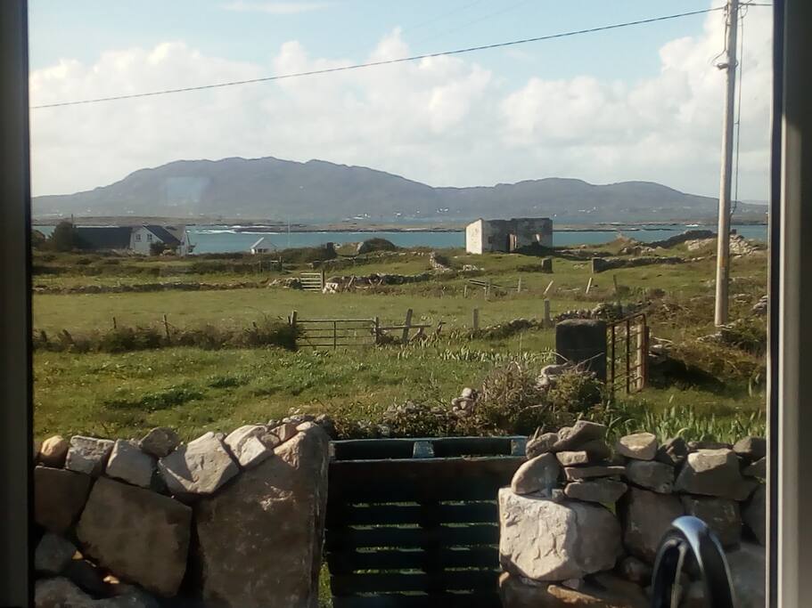 View from the Kitchen Window