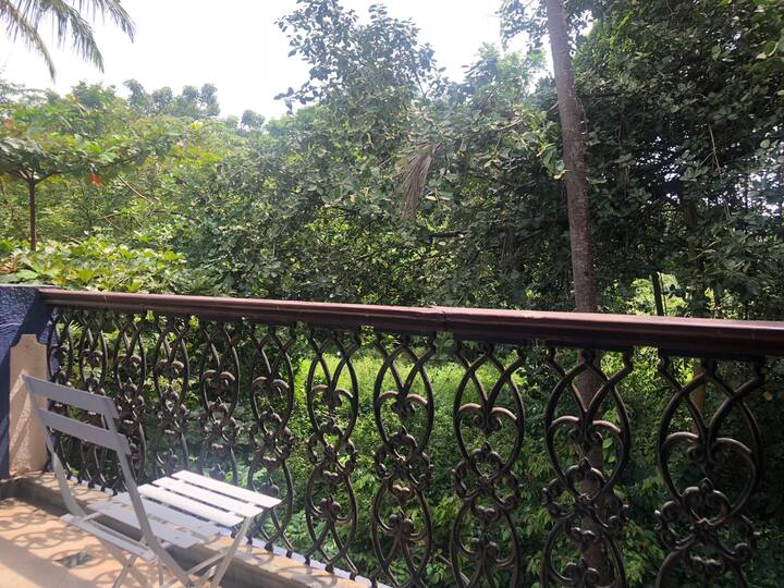 Balcony with Forest Views